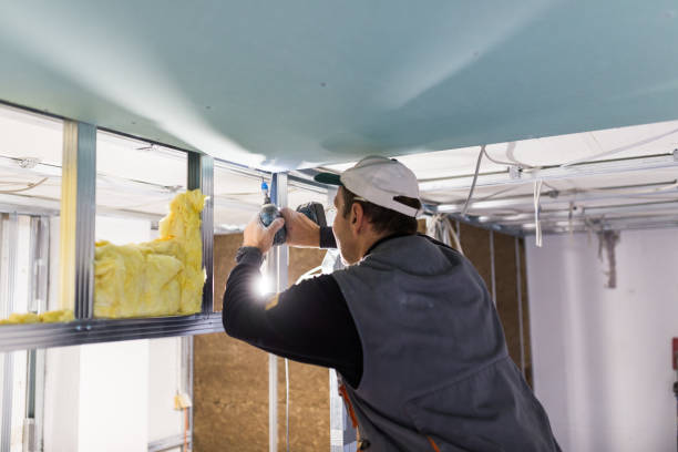 Best Geographic-Specific Insulation Services in La Grange, KY